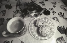 56EBE2A4-8F3D-448C-BF44-C8B776E8D4E2.jpeg 56EBE2A4-8F3D-448C-BF44-C8B776E8D4E2.jpeg