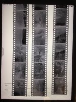 DC339D87-E132-4B7E-96B7-59734CBADDAB.jpeg DC339D87-E132-4B7E-96B7-59734CBADDAB.jpeg