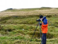 DSC04055 PS Adj.JPG DSC04055 PS Adj.JPG