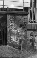 Reg TerryResized.jpg