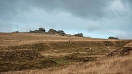 014 Gt Links Tor 02-6562 PS Adj.JPG 014 Gt Links Tor 02-6562 PS Adj.JPG