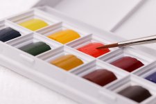 20220109-BCR_8946_1_week01.jpg 20220109-BCR_8946_1_week01.jpg