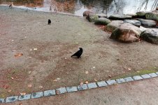 L1026821_DxO-z25b-4-f.jpg L1026821_DxO-z25b-4-f.jpg