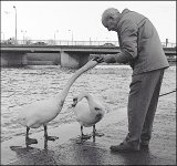 Man feeding swans by Exe Bridge Eos 5 1994 34-20.jpg Man feeding swans by Exe Bridge Eos 5 1994 34-20.jpg