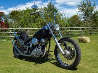 New Pan Shot-1003806 V2 PS Adj.jpg New Pan Shot-1003806 V2 PS Adj.jpg