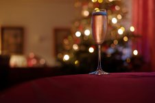 L1027017_DxO-L50s-25.jpg L1027017_DxO-L50s-25.jpg