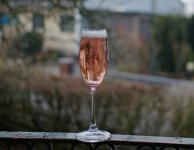 L1027105_DxO-v282-2-c.jpg L1027105_DxO-v282-2-c.jpg