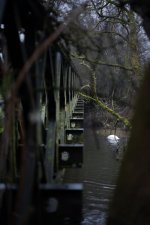 DSC_4072_m.jpg DSC_4072_m.jpg