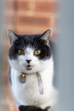 R6_I0049.jpg R6_I0049.jpg