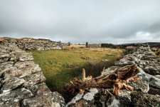 010 Laughter Tor Sheep Pound 02-1169 PS Adj.JPG