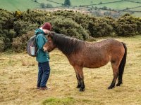 025 Huccaby Tor (Mrs T and a Pony) 05-6636 PS Adj.JPG