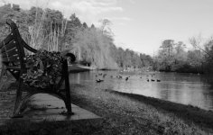 P1001596 crop.jpg P1001596 crop.jpg