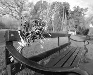 P1001614 (2) B&W.jpg P1001614 (2) B&W.jpg