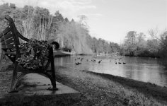 P1001596 crop lighter.jpg P1001596 crop lighter.jpg