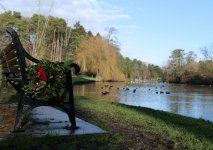 P1001596.JPG P1001596.JPG