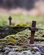 Jan 15-22 - adjusted.jpg