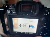 IMG20220122093304.jpg IMG20220122093304.jpg