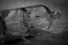 The morning after the night before.JPG