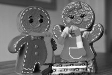 Biscuit tins.jpg Biscuit tins.jpg