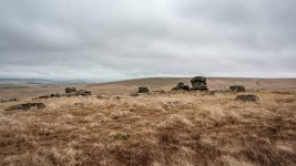 022 Fox Tor 03-6682 PS Adj.JPG