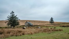 048 Route Back (Nuns Cross Farm) 17-6724 PS Adj.JPG