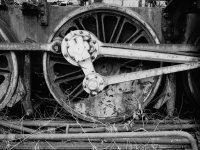 2011-5, Canon FX, Legacy Pro 100,  024.jpg