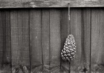 RainyForecast.jpg RainyForecast.jpg