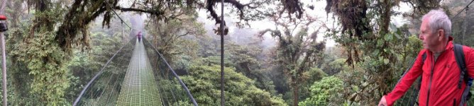 AB5999F0-9693-417D-A8EA-D1B27E05E89C.jpeg AB5999F0-9693-417D-A8EA-D1B27E05E89C.jpeg