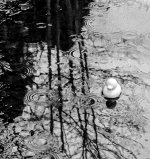 2022-01-29-0013-2.jpg 2022-01-29-0013-2.jpg