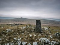 009a Cox Tor 08a-1991 PS Adj.JPG