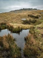 017 Roos Tor 03-6768 PS Adj.JPG