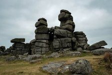 036 Gt Staple Tor 09-6796 PS Adj.JPG