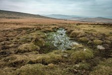 038 Boggy Ground 01-6798 PS Adj.JPG