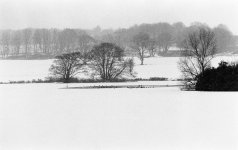 Pitfour lake winter scene.jpg