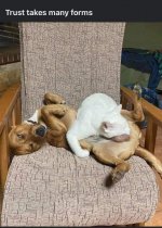 trust.jpg