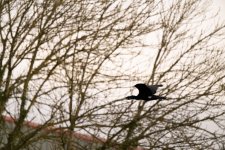 DSC_2360.jpg DSC_2360.jpg