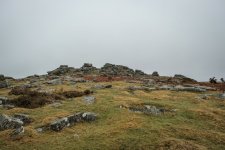 030 Pew Tor 01-6853 PS Adj.JPG