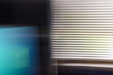 week five snappers choi ce.jpg