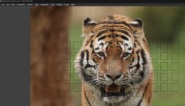 focus points.jpg focus points.jpg