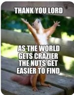 nuts.jpg