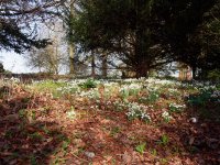 P2070023-ORF_DxO_PRIME 1.jpg