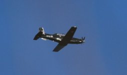 fly over.jpg fly over.jpg