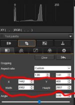 Canon DPP croping nummbers.jpg