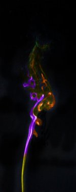 Week 5 - snappers choice.jpg