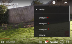 2022-02-11.png 2022-02-11.png