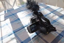 _DSC5487a.jpg _DSC5487a.jpg