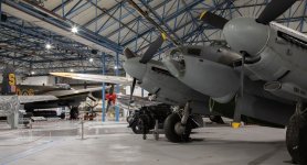 5D4_4479_1500.jpg 5D4_4479_1500.jpg