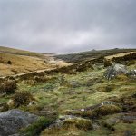 001 Wistmans Wood 01-61730001 PS Adj.JPG