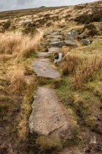 007 Track to Wistman's Wood 07-6873 PS Adj.JPG