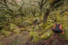 009 Wistman's Wood 02-6875 PS Adj.JPG